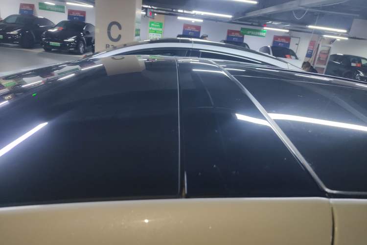 Used Tesla Model X 2019 Performance High-Performance Edition Roof