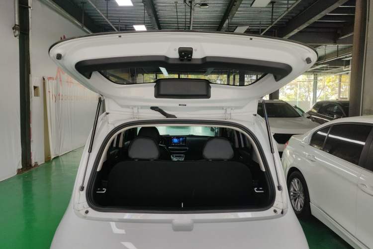 Used ORA White Cat 2020 305 km Luxury Version