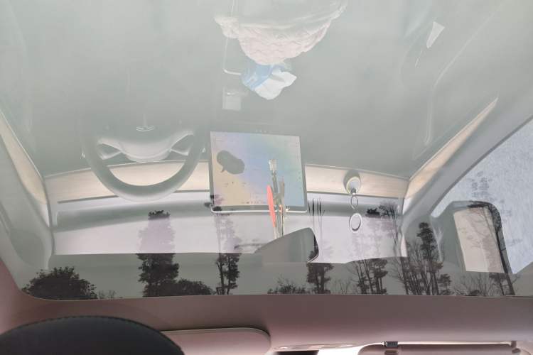 Used Tesla Model Y 2021 Standard Range Rear-Wheel Drive Version Headliner