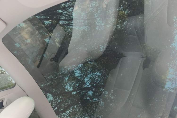 Used Tesla Model Y 2021 Performance High-Performance All-Wheel-Drive Version