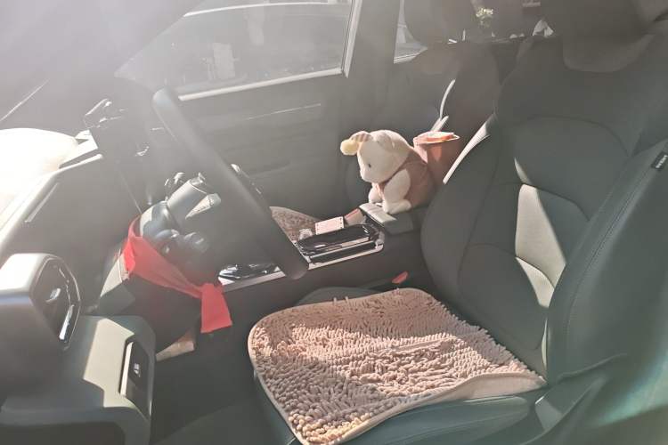 Used Geely Auto Cowboy 2025 1.5TD Fun-Offroad Version Left Front Seat