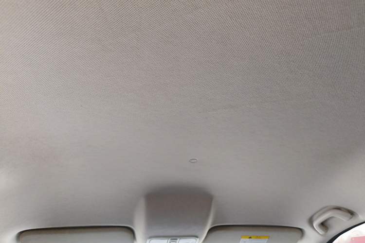 Used CHANGAN OSHAN Cosmos EV 2020 LingShang Model Headliner