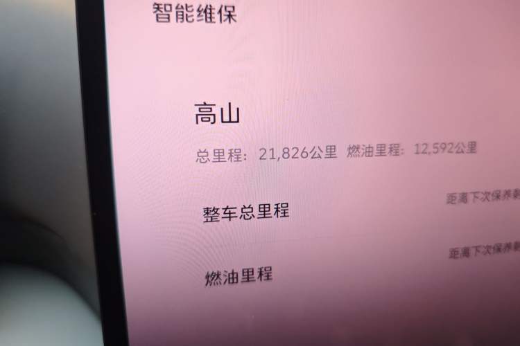 Used Wey Gaoshan 2025 Four-Wheel Drive Alpine 8 Odometer Close Up