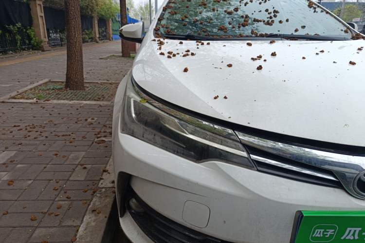 Used Toyota Corolla 2017 Revised Version 1.2T S-CVT GL-i Right Front Headlight