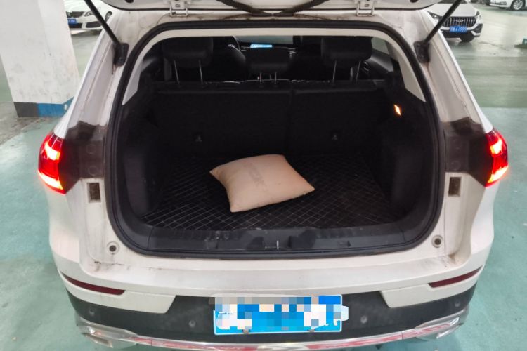 Used Haval H6 2021 1.5T Automatic Champion Edition
