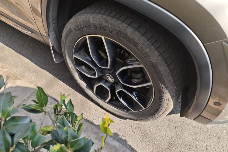 Used Skoda Kodiaq 2019 Facelifted TSI330 5-Seater Two-Wheel-Drive Luxury Enjoyment Edition China VI Standard