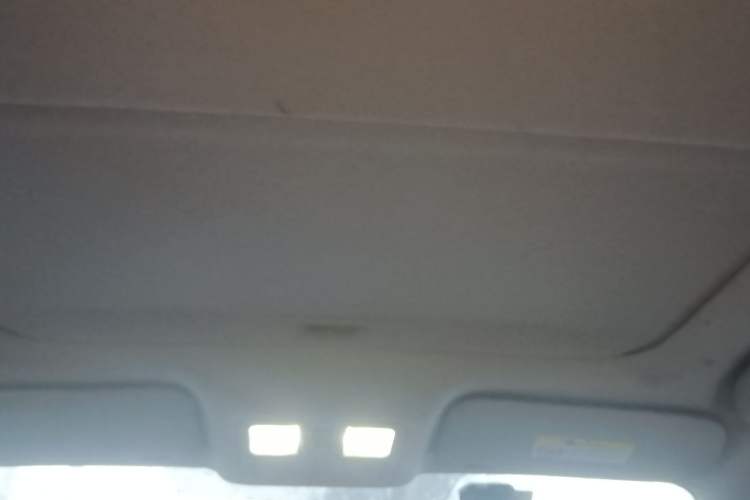 Used Nissan Lannia 2021 1.6L CVT Cool Edition Headliner