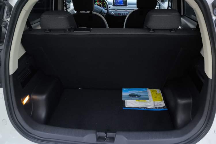 Used Dayun Yuehu 2022 30.66 kWh Two-Wheel Drive Standard Version
