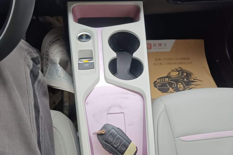 Used SOL E10X 2022 Flower Fairy Design Four-Leaf Clover