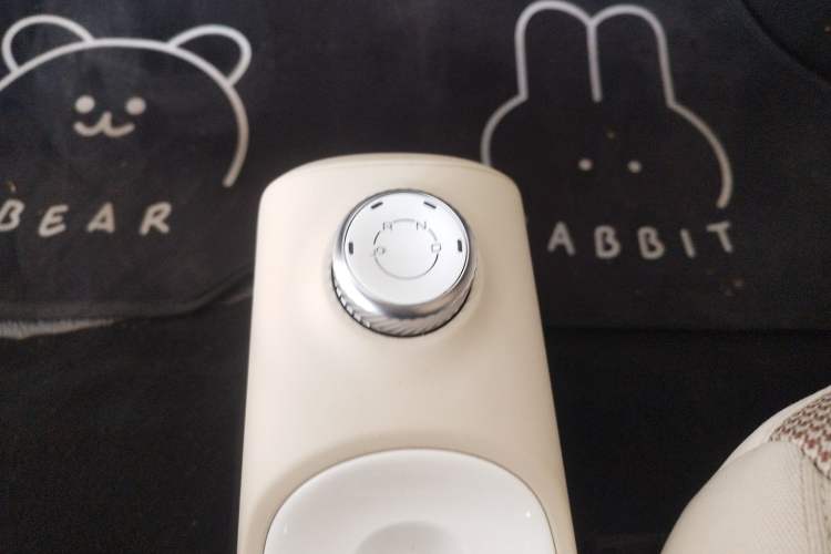 Used Wuling Hongguang MINIEV 2024 Third Generation 120 km Gear Lever