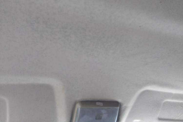 Used Ruichi EC35 2023 EC35II Standard Edition - EVE