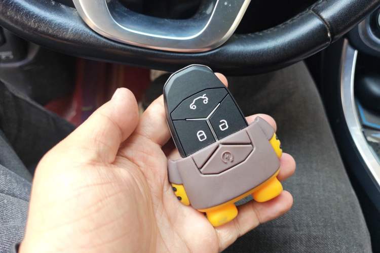 Used Lynk & Co 01 2019 2.0T Two-Wheel-Drive Pro Version China VI Standard
