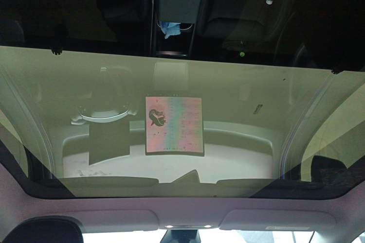 Used Tesla Model Y 2025 Long-Range All-Wheel-Drive Version Headliner