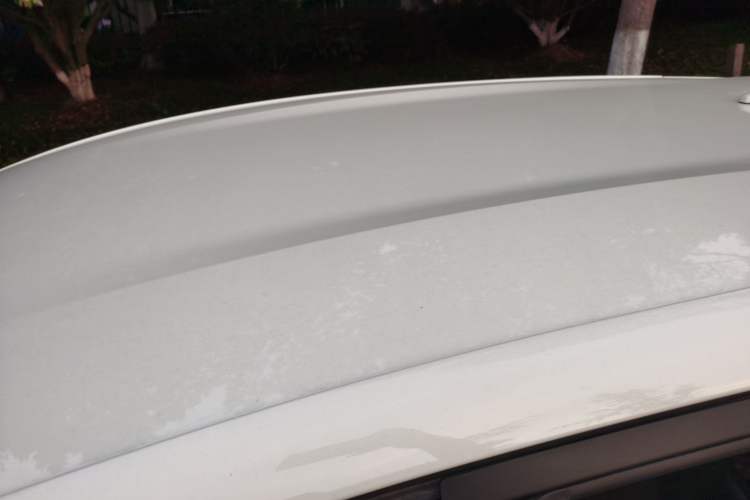 Used BYD Dolphin 2023 420 km Free Version Roof