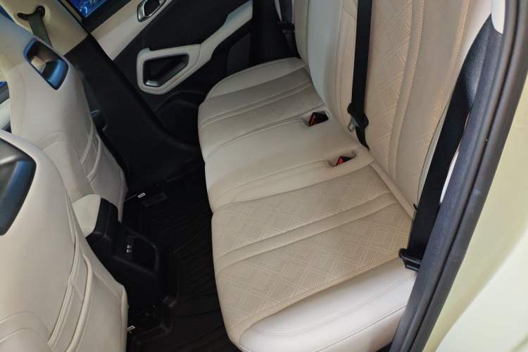 Used BYD Yuan UP 2024 401KM Beyond Edition Left Rear Seat