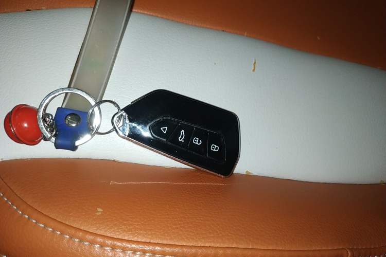 Used Roewe Clever 2022 311km QiQi BoBo Edition Vehicle Key