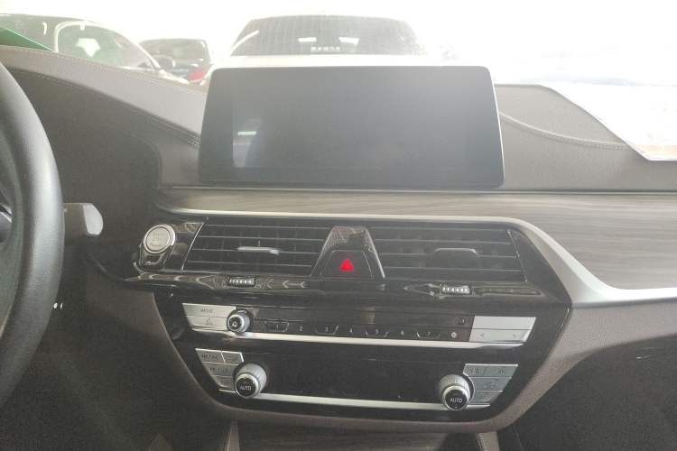 Used BMW 5 Series 2020 530Li Luxury Edition Premium Package
