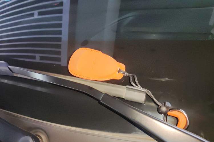 Used Wey Lanshan 2023 Four-Wheel Drive Ultra-Long Range Version