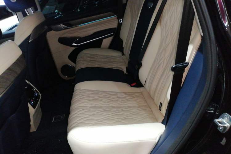 Used Tank 500 2022 3.0T Business Edition "Creation Realm" Design 5-Seater
