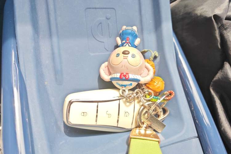 Used BYD Seagull 2023 Active Version Vehicle Key