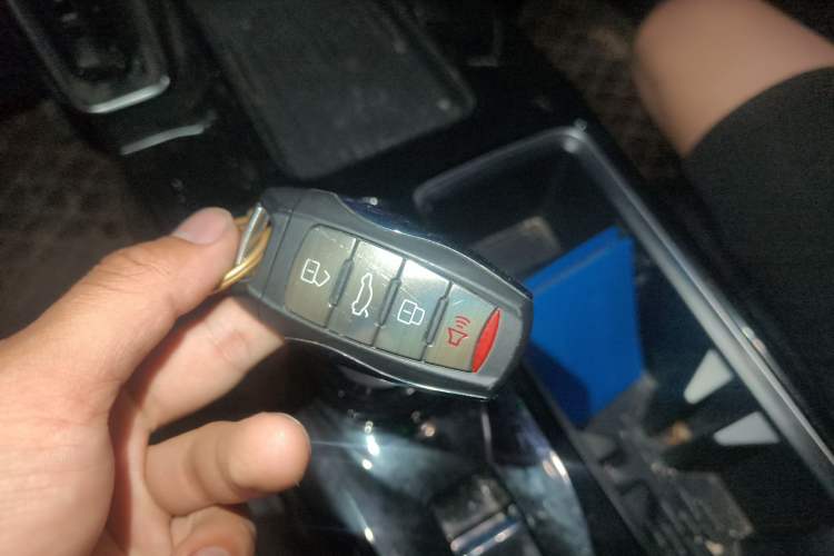 Used Haval DARGO 2022 2.0T DCT 4x4 Chinese Rural Dog Edition