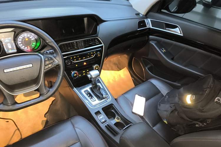 Used Leopaard CS10 2017 2.0T Automatic Urban Version