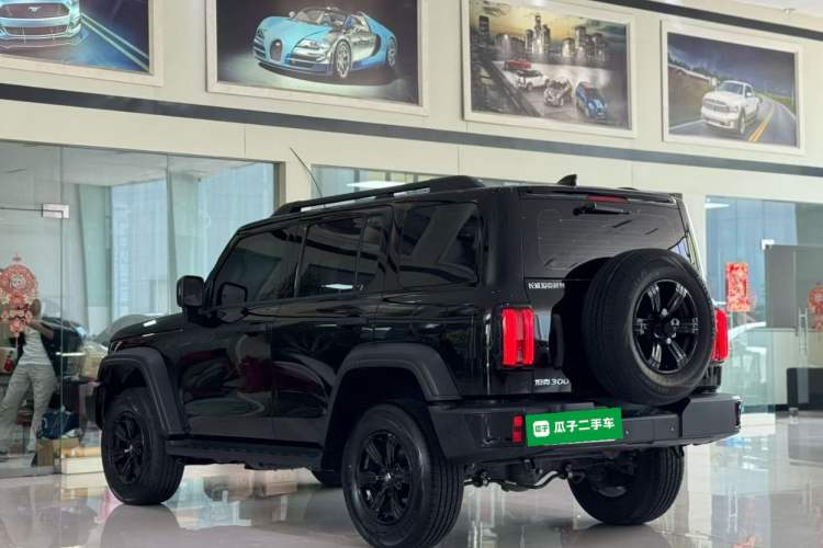 Used Tank 300 2025 2.4T Diesel Version Rear Left 45 Deg