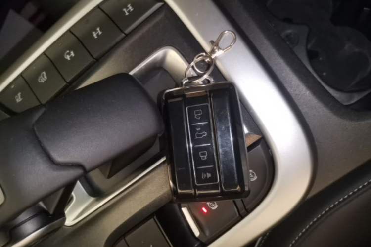 Used Tank 300 2024 2.0T Conqueror