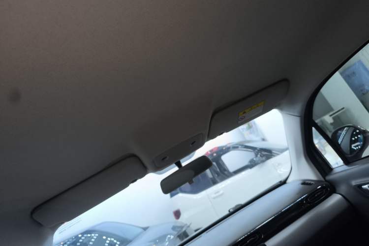 Used Leapmotor T03 2020 400 Lite Edition Headliner