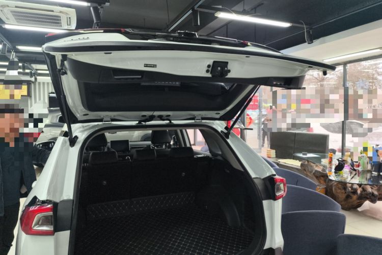 Used Toyota Wildlander 2021 2.0L CVT Two-Wheel Drive Luxury Edition
