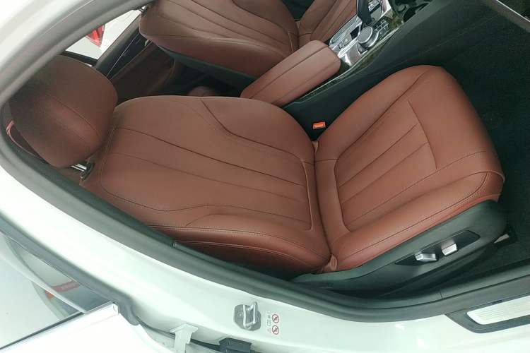 Used BMW 5 Series 2020 530Li Leading Model M Sport Package
