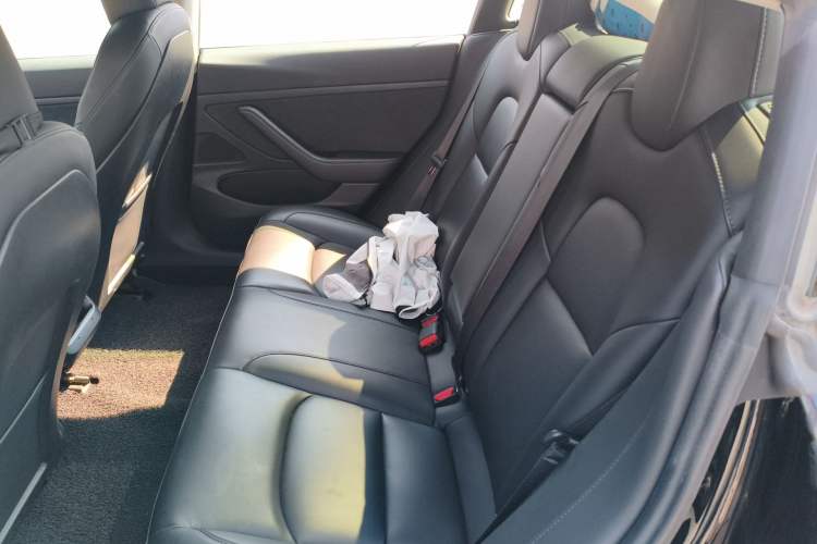 Used Tesla Model 3 2020 Revised Version Standard Range Rear-Wheel Drive – Upgraded Edition