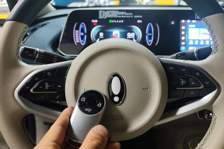 Used ORA Good Cat 2023 501 km Long-Range Luxury Version Lithium Iron Phosphate
