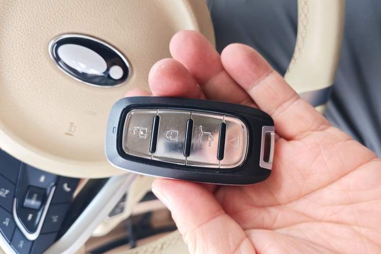 Used ORA Good Cat 2021 400km Standard Range Venus Edition Lithium Iron Phosphate Vehicle Key