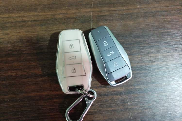 Used SOL E10X 2022 Flower Fairy Design Four-Leaf Clover
