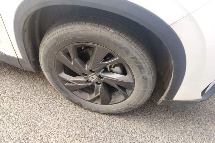 Used Dongfeng Aeolus SKY EV01 2023 445km PRO