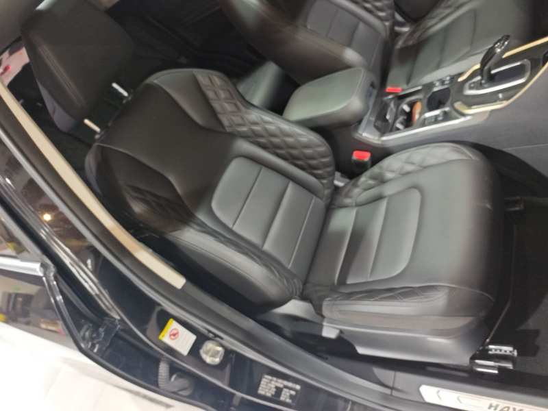 Used Haval H6 2020 1.5 GDIT Automatic Platinum Champion Edition — 24