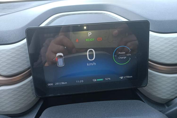 Used SOL E10X 2022 Flower Fairy Style Baby's Breath
