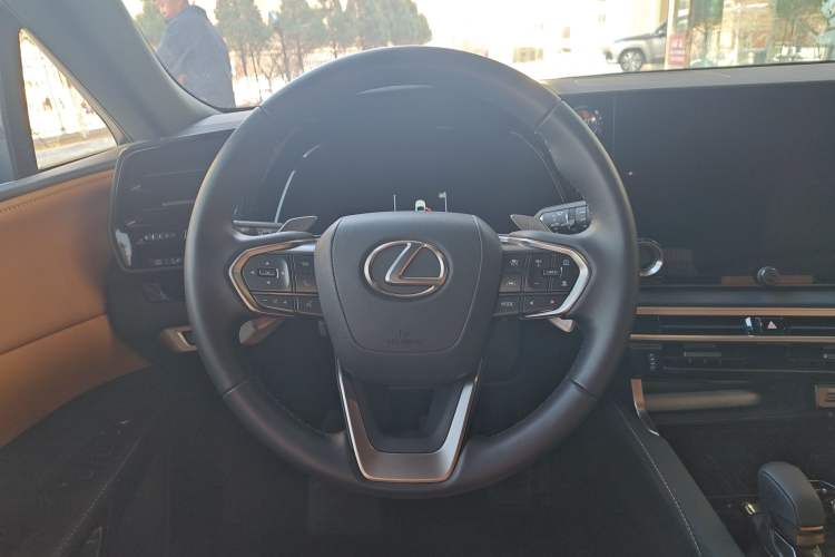 Used Lexus RX 2025 300 Four-Wheel Drive Junxiang Edition
