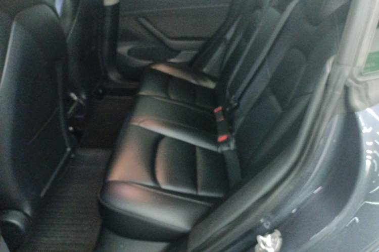 Used Tesla Model 3 2020 Standard Range Rear-Wheel Drive Upgraded Version Left Rear Seat