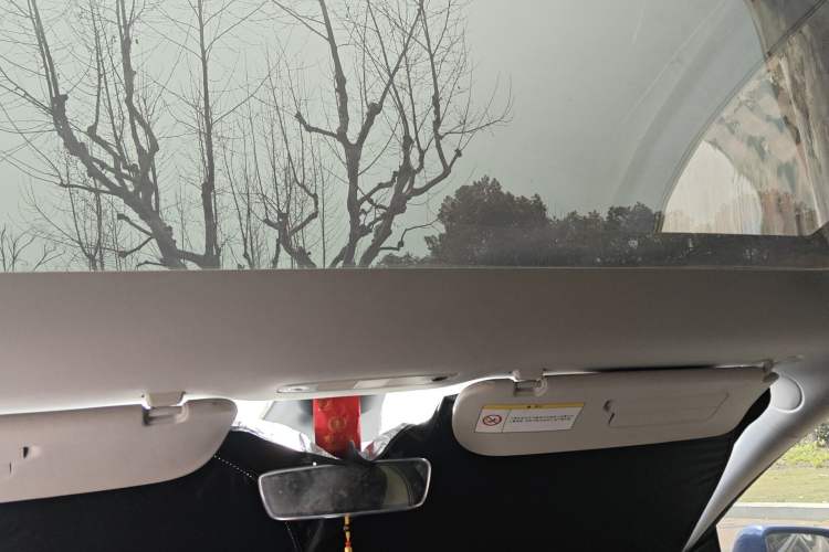 Used Tesla Model Y 2021 Long-Range All-Wheel-Drive Version Headliner