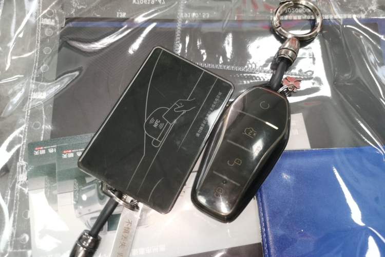 Used BYD Destroyer 05 2024 HONOR Edition DM-i 55KM Luxury Model
