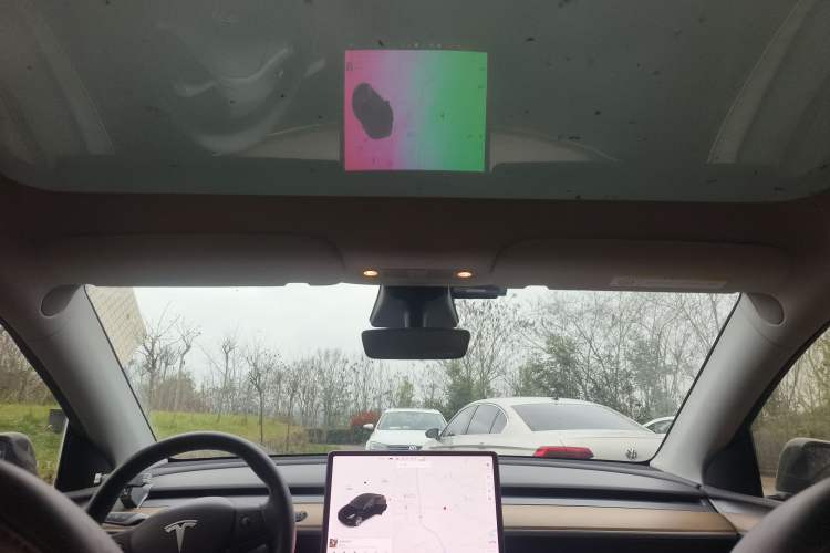 Used Tesla Model Y 2021 Standard Range Rear-Wheel Drive Version
