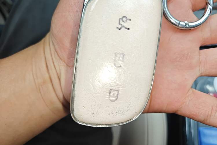 Used Lynk & Co Z20 2025 530 km Range Rear-Wheel Drive Pro