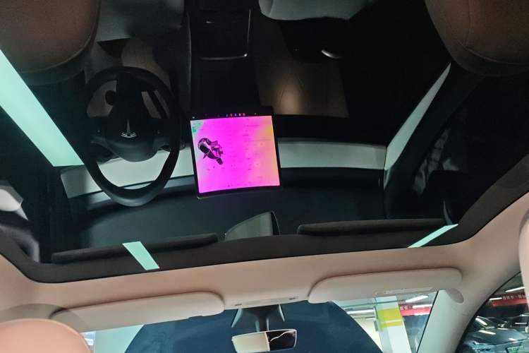 Used Tesla Model Y 2021 Standard Range Rear-Wheel Drive Version
