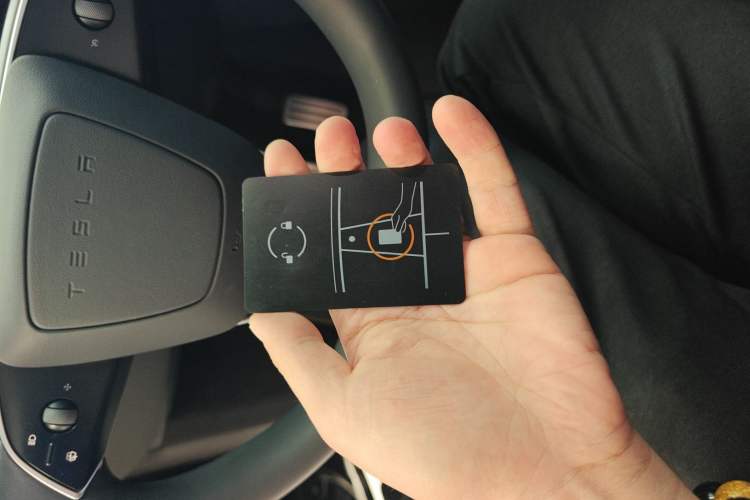 Used Tesla Model Y 2025 Rear-Wheel-Drive Version
