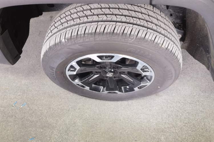 Used Tank 300 New Energy 2025 Hi4-T