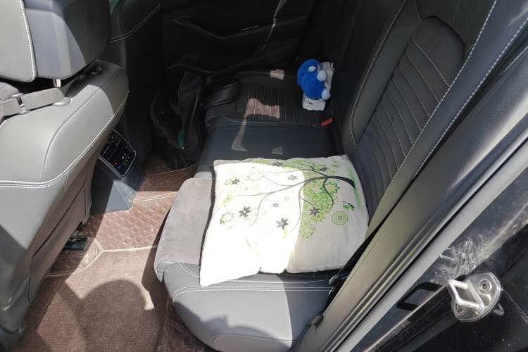 Used Volkswagen Magotan 2020 330TSI DSG Luxury Edition Left Rear Seat