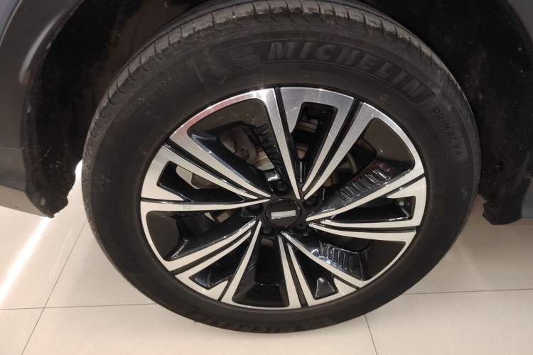 Used Wey Latte DHT 2022 1.5T DHT Extra-Large Cup
