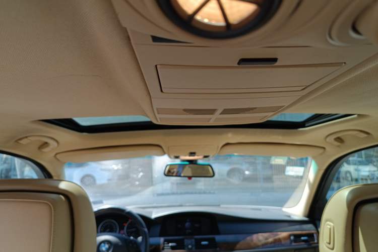 Used BMW 5 Series 2010 520Li Leading Model Headliner